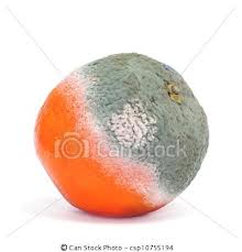 images-rothado narancs